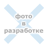 Выступает Д.Н. Лелюхин. С.С. Тавастшерна и С.О. Цветкова. 2012. Фото Н. А. Корнеевой